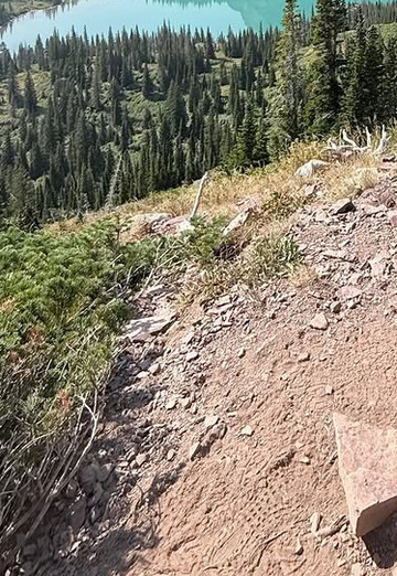 David (@david46572) — my photo № 2