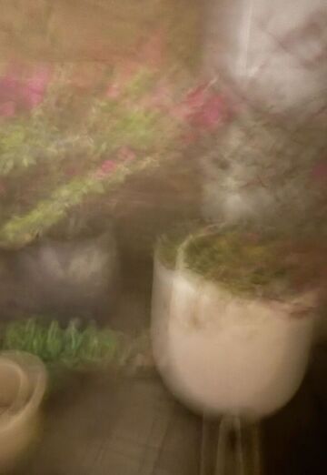 David (@david47706) — my photo № 3