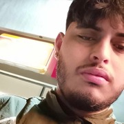 Saul 23 Chihuahua