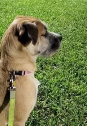 Scott (@scott1646) — my photo № 4