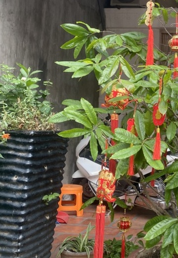 Phuong (@phuong10) — my photo № 2