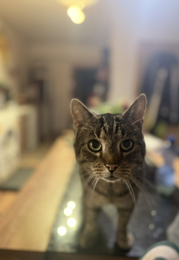 Steve (@steve2310) — my photo № 1