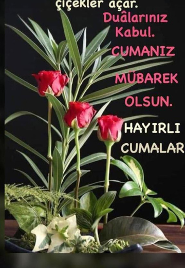 Aaa (@aaa4987) — mein Foto #2