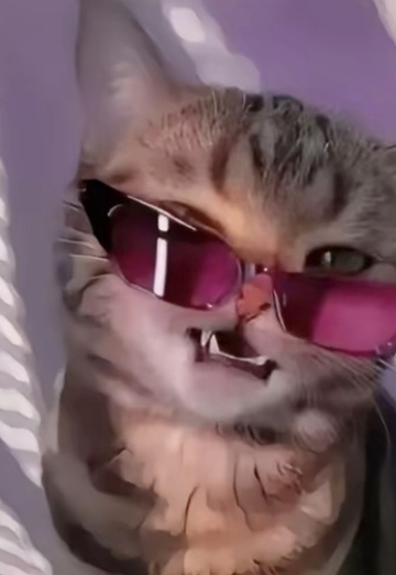 Alexis (@alexis1770) — my photo № 1