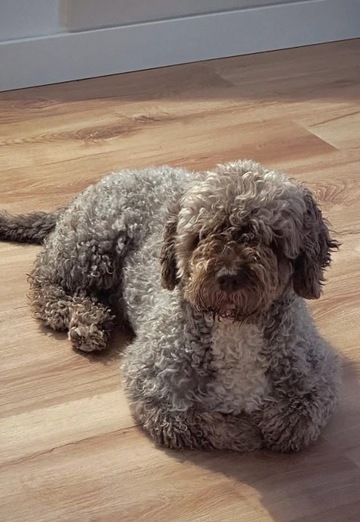 Alex Sotte (@alexsotte) — my photo № 2