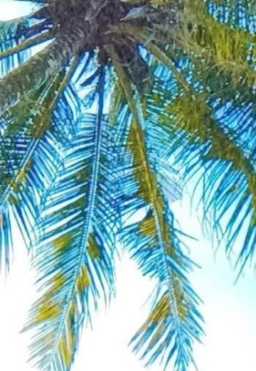 Haniyy (@dhika2) — my photo № 1