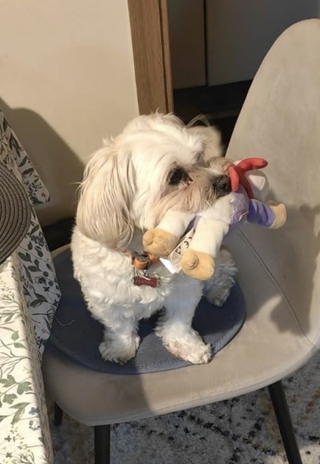 Tasia (@tasia111) — my photo № 3